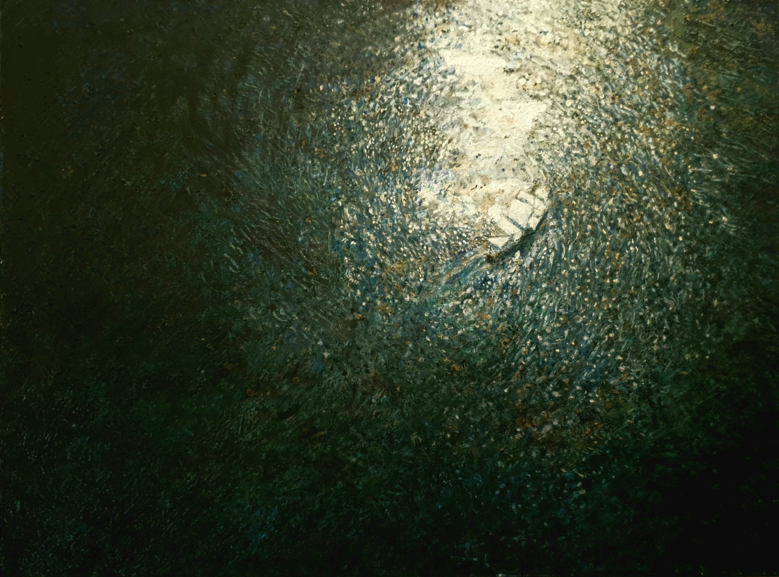 Magnifique solitude - Beautiful loneliness, 2012, 60×80cm